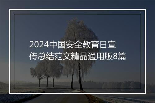 2024中国安全教育日宣传总结范文精品通用版8篇