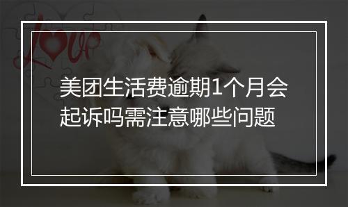 美团生活费逾期1个月会起诉吗需注意哪些问题