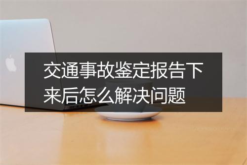 交通事故鉴定报告下来后怎么解决问题