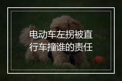 电动车左拐被直行车撞谁的责任