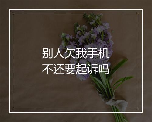 别人欠我手机不还要起诉吗