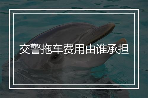 交警拖车费用由谁承担