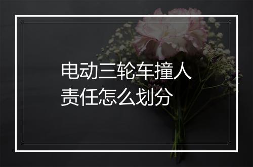 电动三轮车撞人责任怎么划分