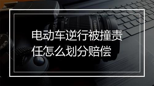 电动车逆行被撞责任怎么划分赔偿