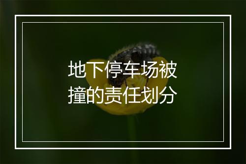 地下停车场被撞的责任划分