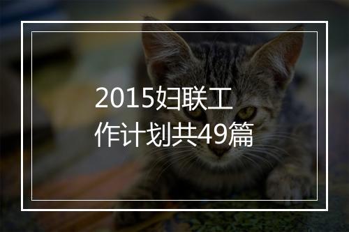 2015妇联工作计划共49篇