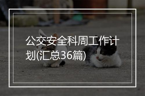 公交安全科周工作计划(汇总36篇)