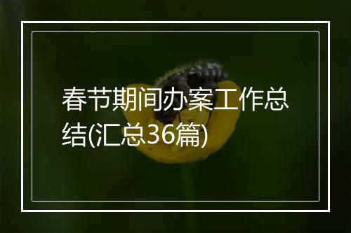 春节期间办案工作总结(汇总36篇)