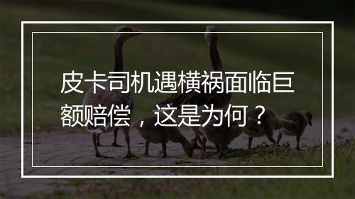 皮卡司机遇横祸面临巨额赔偿，这是为何？