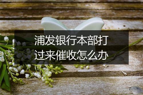 浦发银行本部打过来催收怎么办
