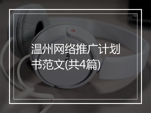 温州网络推广计划书范文(共4篇)