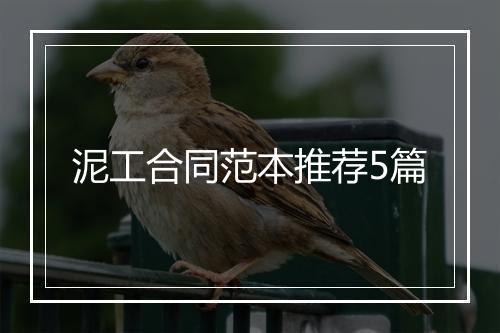 泥工合同范本推荐5篇