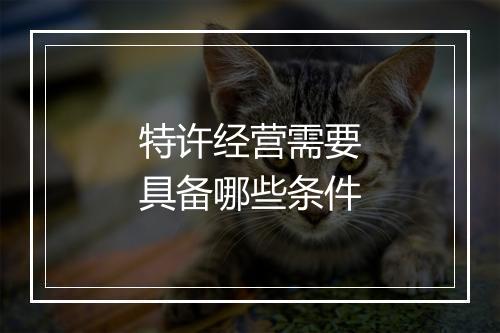 特许经营需要具备哪些条件