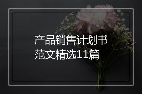 产品销售计划书范文精选11篇