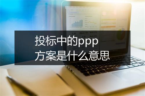 投标中的ppp方案是什么意思