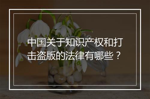中国关于知识产权和打击盗版的法律有哪些？