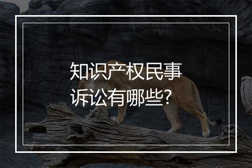 知识产权民事诉讼有哪些?