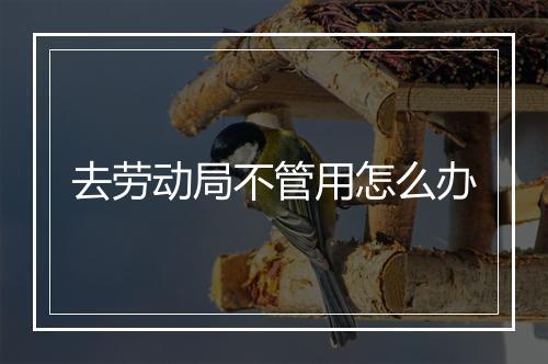 去劳动局不管用怎么办