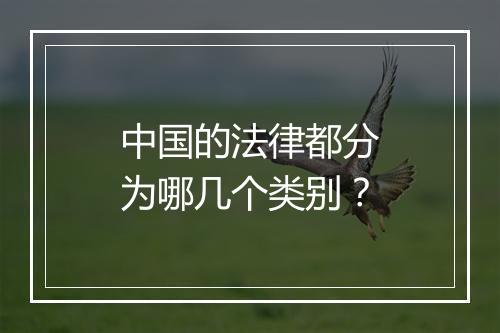 中国的法律都分为哪几个类别？