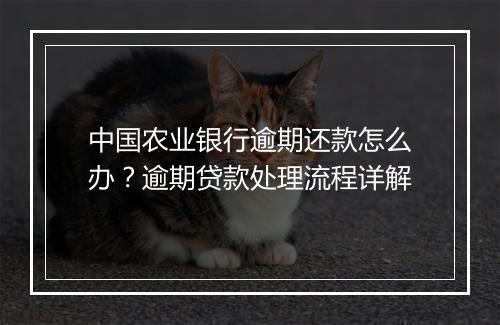 中国农业银行逾期还款怎么办？逾期贷款处理流程详解