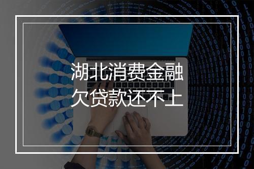 湖北消费金融欠贷款还不上