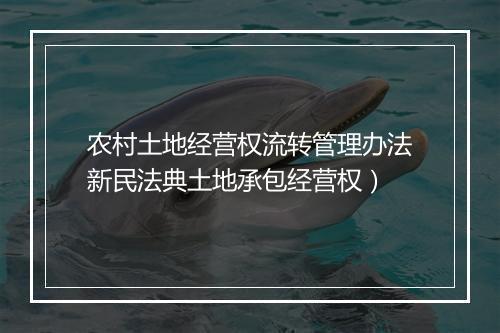 农村土地经营权流转管理办法新民法典土地承包经营权）