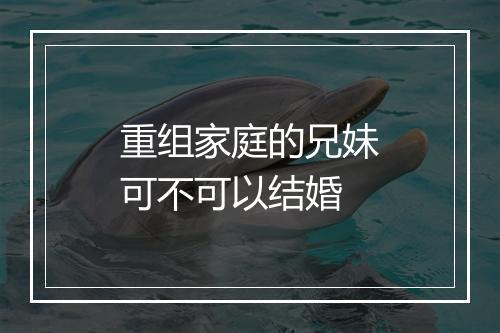 重组家庭的兄妹可不可以结婚