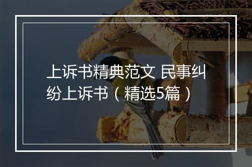 上诉书精典范文 民事纠纷上诉书（精选5篇）