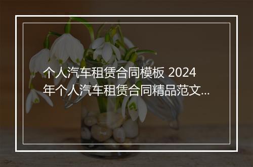 个人汽车租赁合同模板 2024年个人汽车租赁合同精品范文11篇
