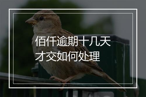 佰仟逾期十几天才交如何处理