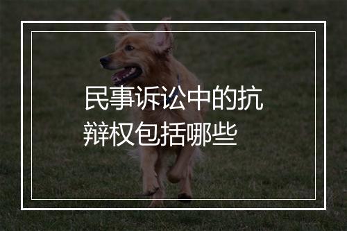 民事诉讼中的抗辩权包括哪些