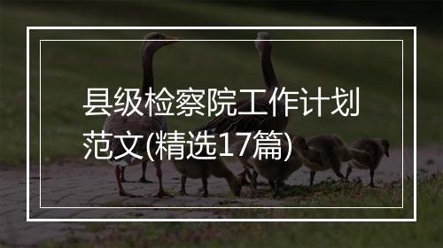 县级检察院工作计划范文(精选17篇)