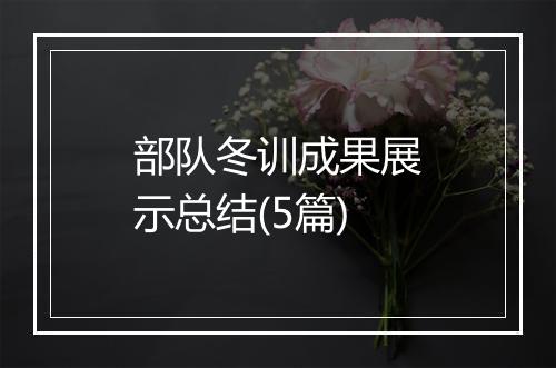 部队冬训成果展示总结(5篇)
