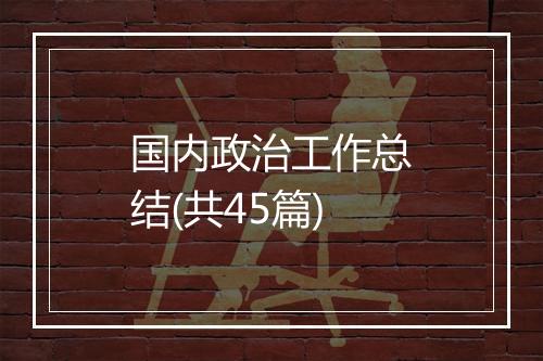 国内政治工作总结(共45篇)