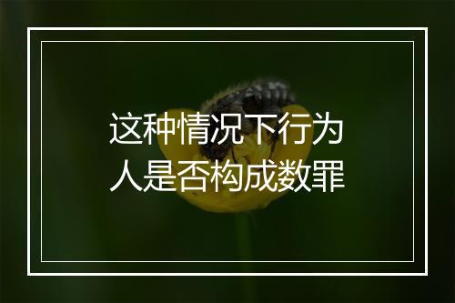 这种情况下行为人是否构成数罪