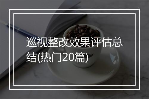 巡视整改效果评估总结(热门20篇)