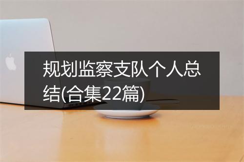 规划监察支队个人总结(合集22篇)