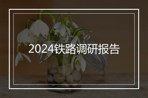 2024铁路调研报告