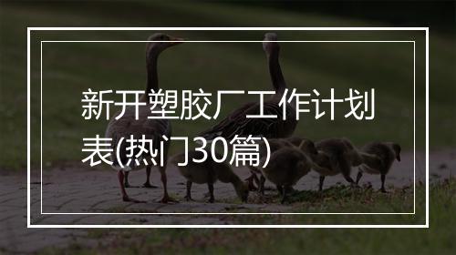 新开塑胶厂工作计划表(热门30篇)