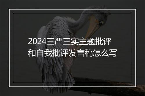2024三严三实主题批评和自我批评发言稿怎么写