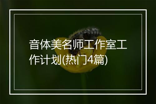 音体美名师工作室工作计划(热门4篇)