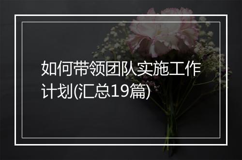 如何带领团队实施工作计划(汇总19篇)