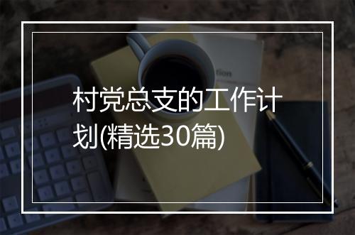 村党总支的工作计划(精选30篇)