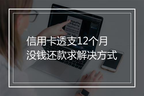 信用卡透支12个月没钱还款求解决方式
