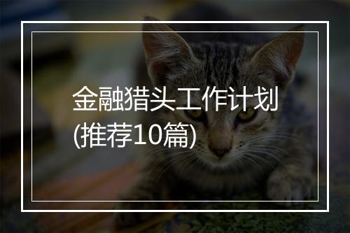 金融猎头工作计划(推荐10篇)