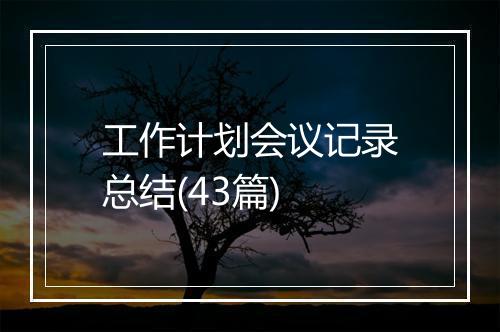 工作计划会议记录总结(43篇)