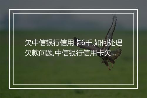 欠中信银行信用卡6千,如何处理欠款问题,中信银行信用卡欠款处理