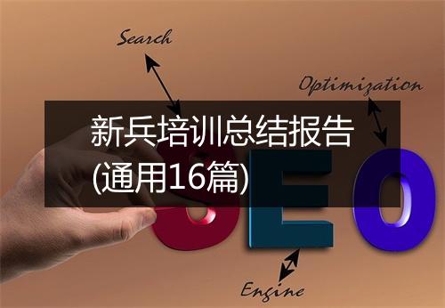 新兵培训总结报告(通用16篇)
