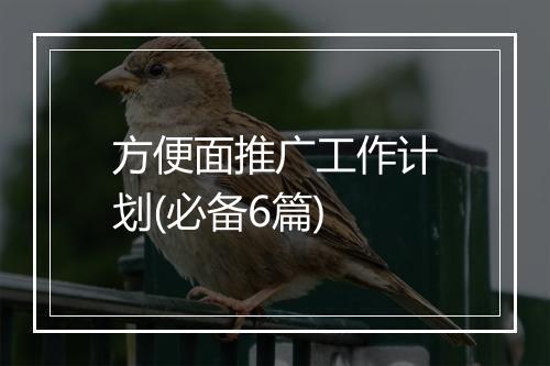 方便面推广工作计划(必备6篇)