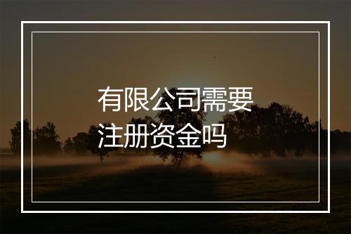 有限公司需要注册资金吗